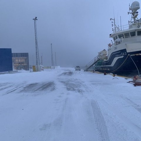 Vetrarlegt um að litast á bryggjunni á Dalvík